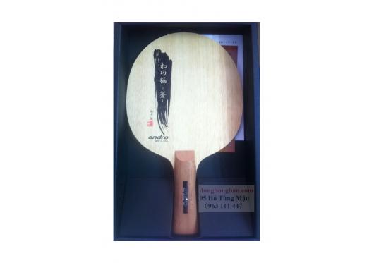 Vợt Andro WANOKIWAMI